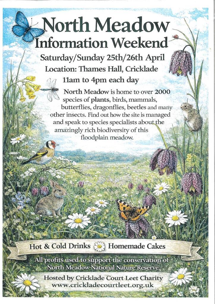 North Meadow Information Weekend image