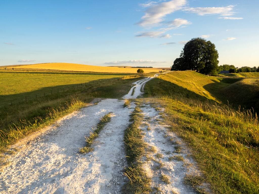 Discovering Untamed Avebury: landscape, people and nature image