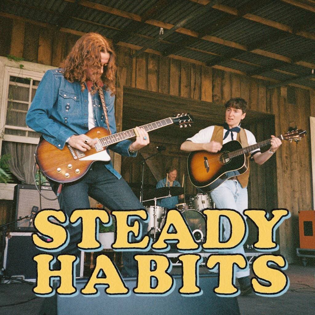 Steady Habits image