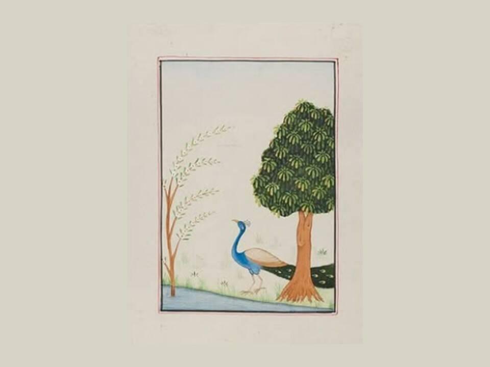 White Horse Bookshop Art Workshop image