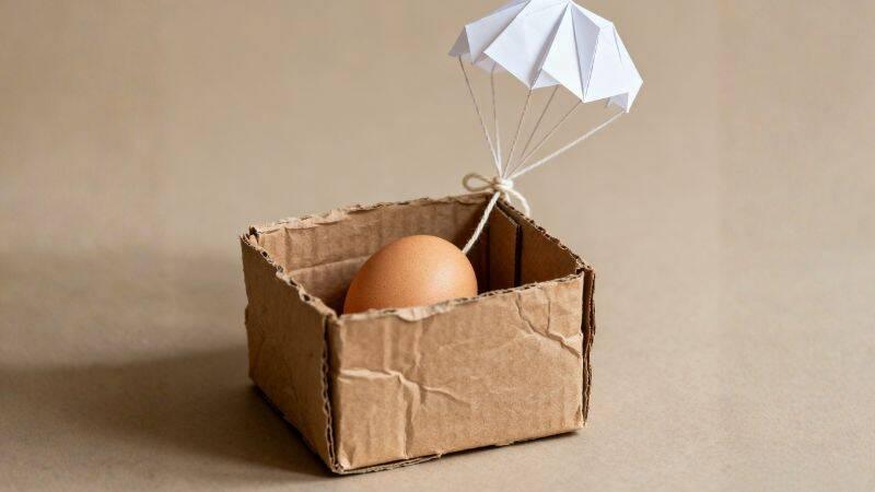 Egg-O-Naught Engineering Workshops image