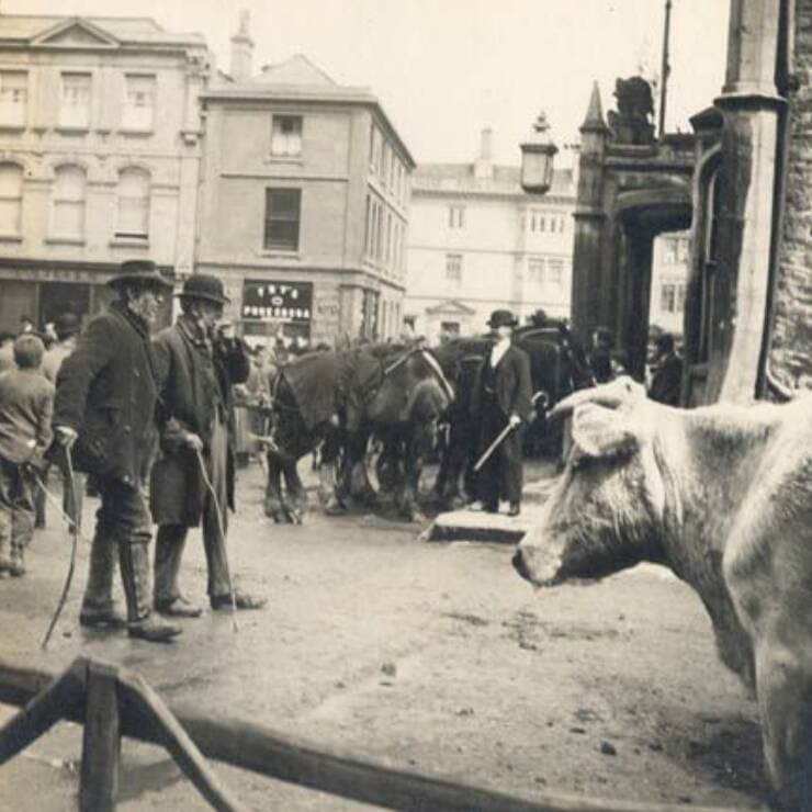 Chippenham Museum: Our History Day image
